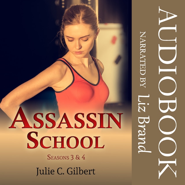 Book cover for Assassin School Seasons 3 and 4