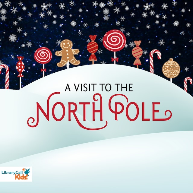 Book cover for A Visit to the North Pole