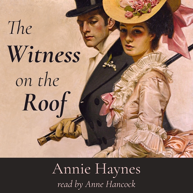 Couverture de livre pour The Witness on the Roof