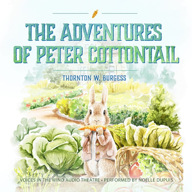 Bokomslag för The Adventures of Peter Cottontail