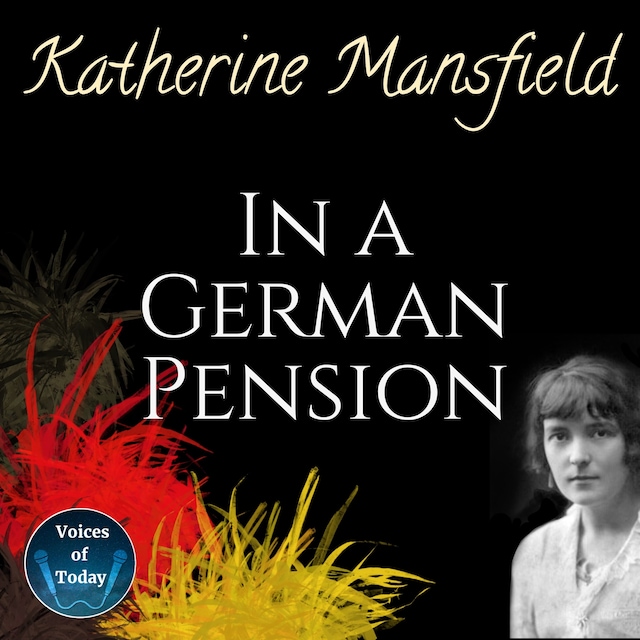 Boekomslag van In a German Pension