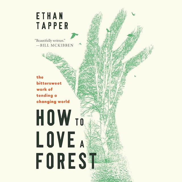 Book cover for How to Love a Forest