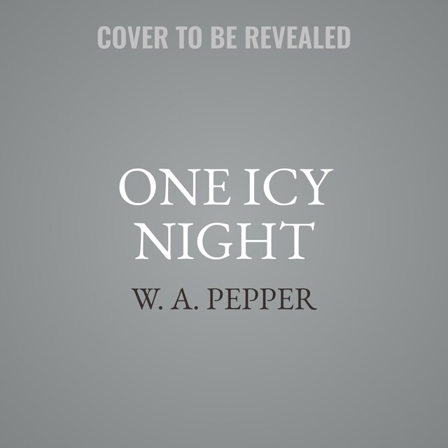 Buchcover für One Icy Night