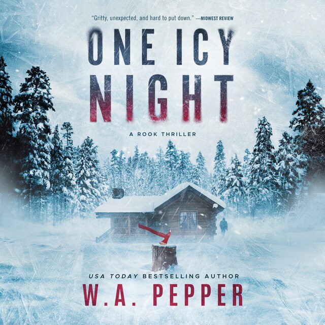 Couverture de livre pour One Icy Night