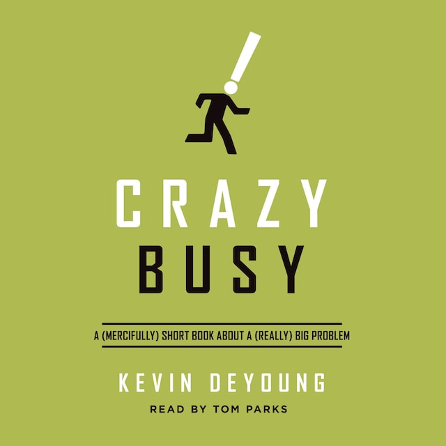 Book cover for Crazy Busy