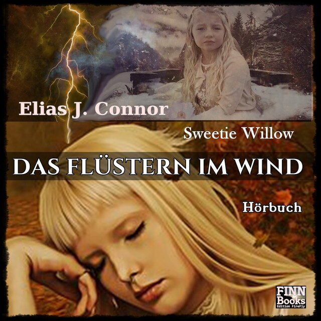 Book cover for Das Flüstern im Wind