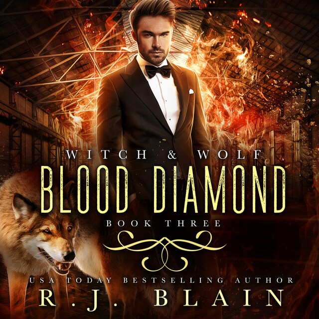 Book cover for Blood Diamond