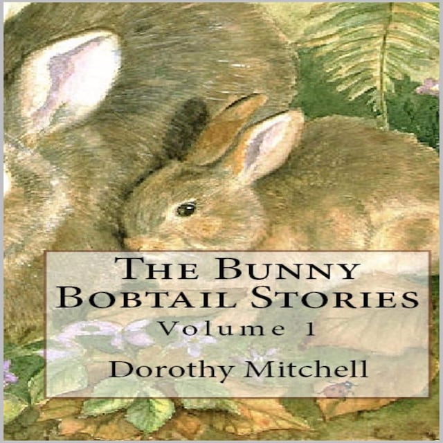 Copertina del libro per The Bunny Bobtail Stories