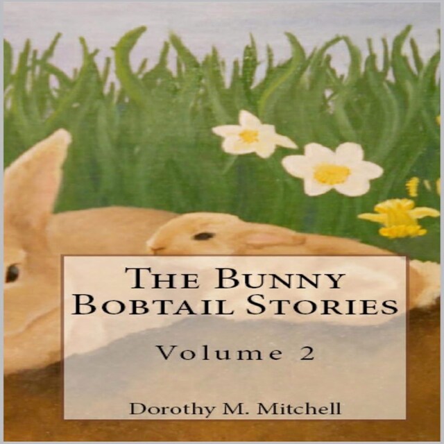 Book cover for The Bunny Bobtail Stories