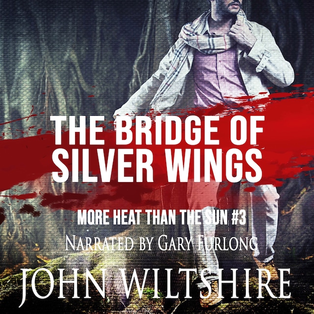 Bokomslag for The Bridge of Silver Wings