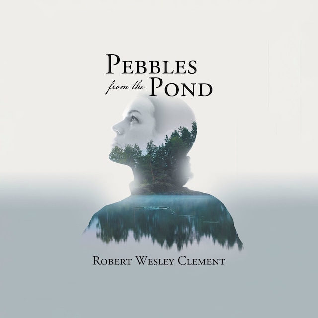 Book cover for Pebbles From The Pond: A Teacher's Story
