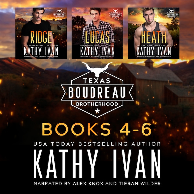 Okładka książki dla Texas Boudreau Brotherhood Books 4-6