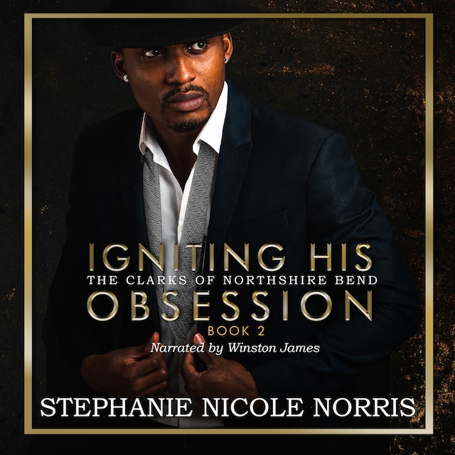 Book cover for Igniting His Obsession
