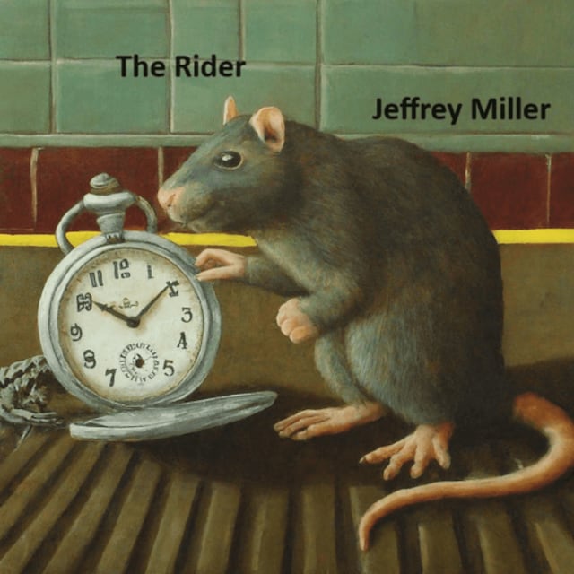 Copertina del libro per The Rider