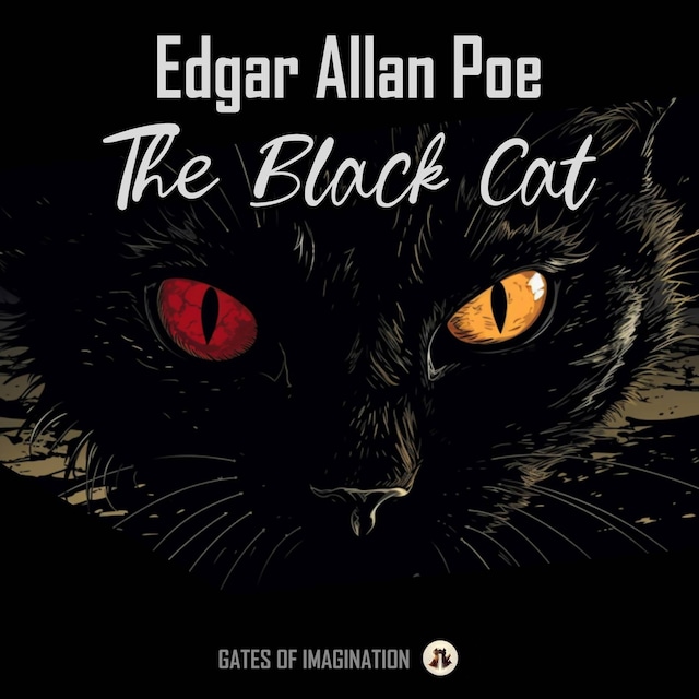 Bokomslag for The Black Cat
