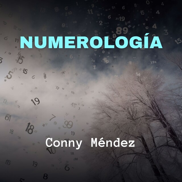 Boekomslag van Numerología