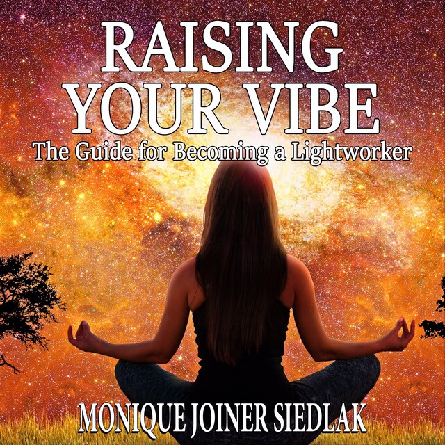 Book cover for Raising Your Vibe