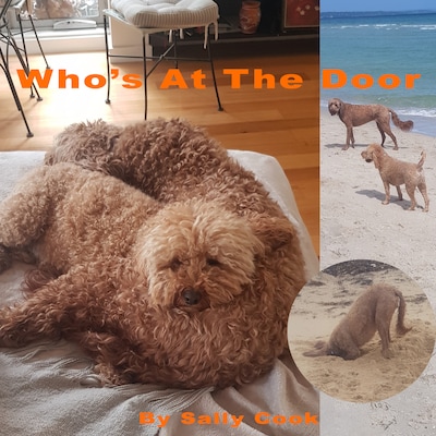 Who's  At The Door