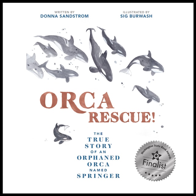 Couverture de livre pour Orca Rescue! The True Story of an Orphaned Orca Named Springer