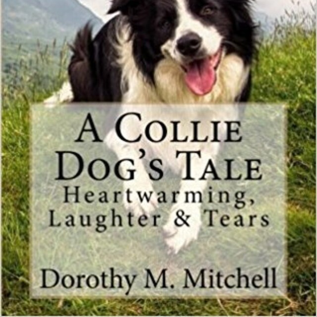 Book cover for A Collie Dog's Tale