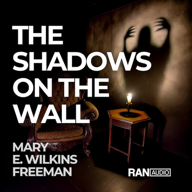 Boekomslag van The Shadows On The Wall