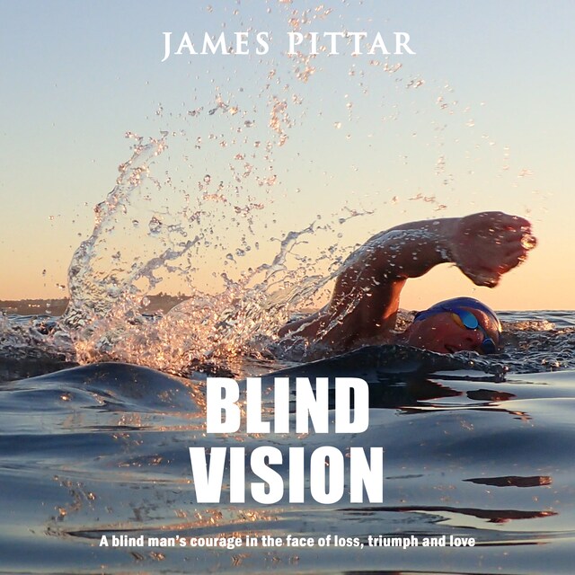 Portada de libro para Blind Vision