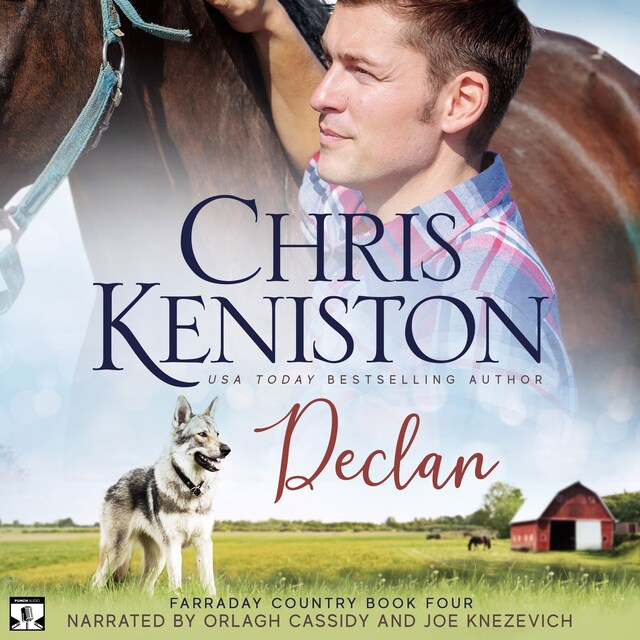 Couverture de livre pour Declan