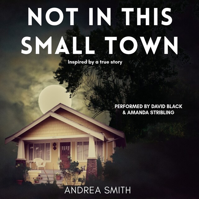 Book cover for Not In This Small Town