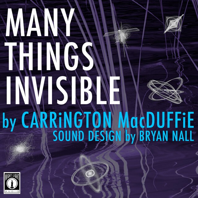 Book cover for Many Things Invisible