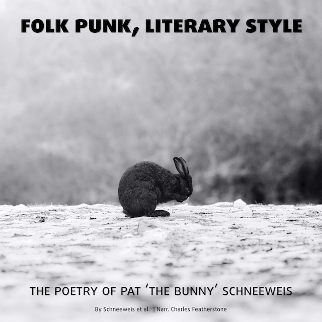 Book cover for Folk Punk, Literary Style