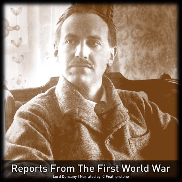 Buchcover für Reports From The First World War