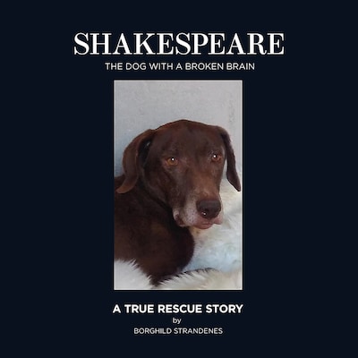Shakespeare