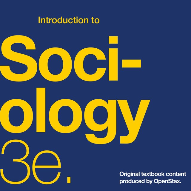 Bokomslag for Introduction to Sociology 3e