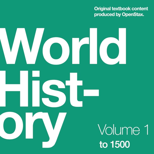 Bokomslag for World History, Volume 1: to 1500