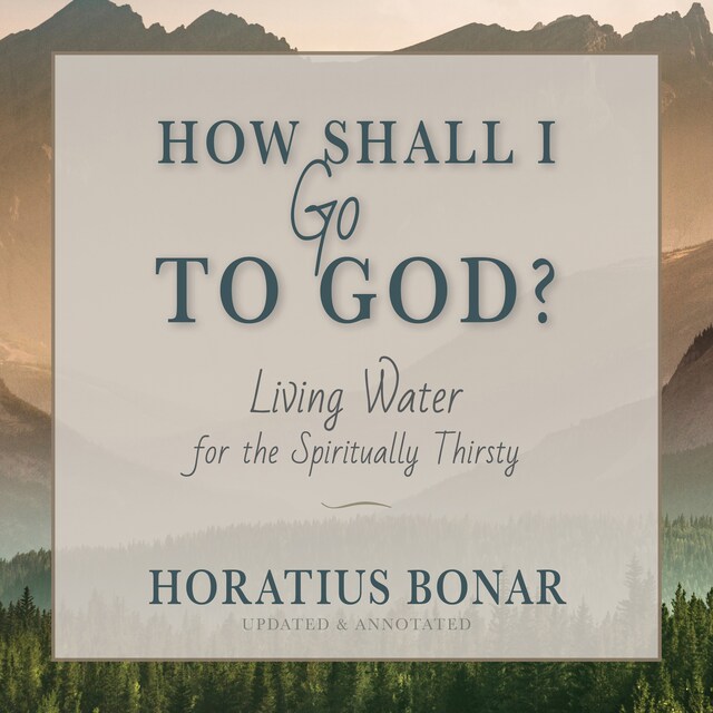 Book cover for How Shall I Go To God?