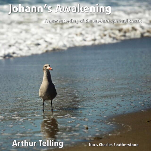 Book cover for Johann's Awakening