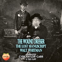 The Wound Dresser