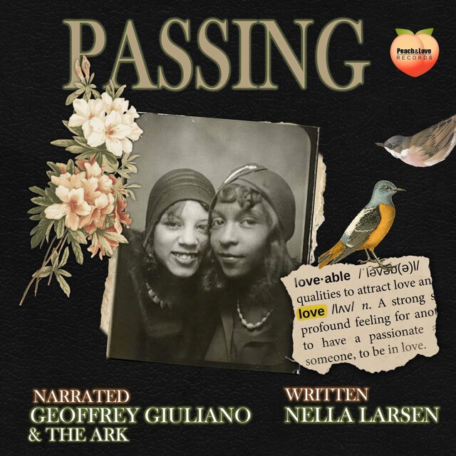 Book cover for Passing