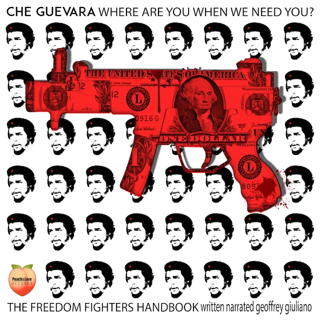 Book cover for Che Guevara Where are you When we Need You?