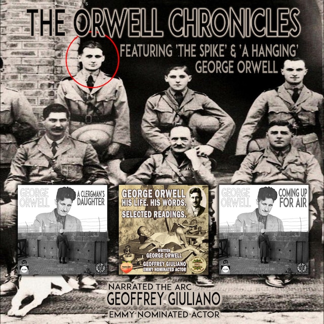 Book cover for The Orwell Chronicles