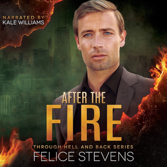 Book cover for After the Fire