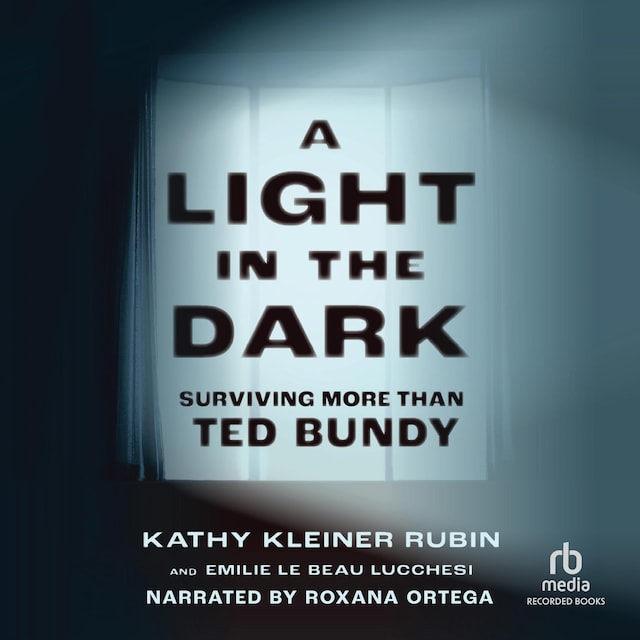 Book cover for A Light in the Dark