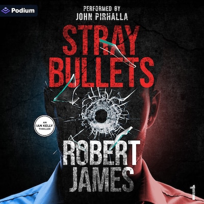 Stray Bullets