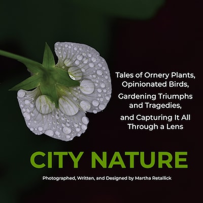 City Nature