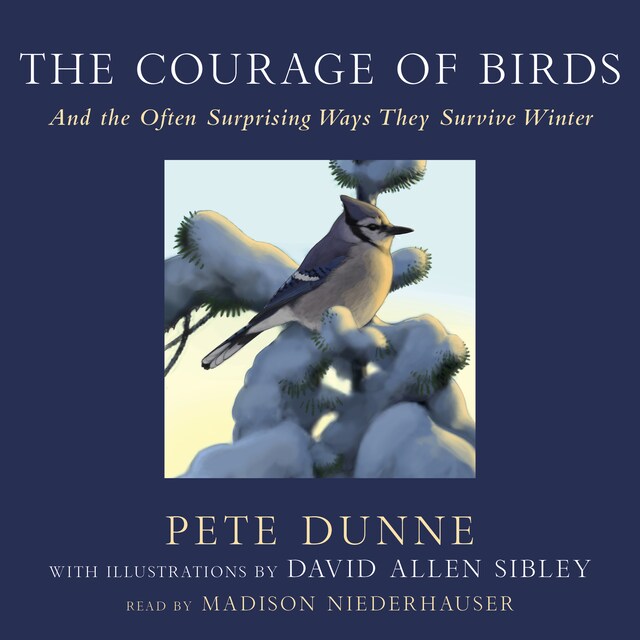 Couverture de livre pour The Courage of Birds