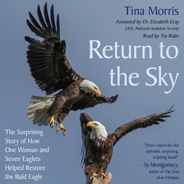 Portada de libro para Return to the Sky