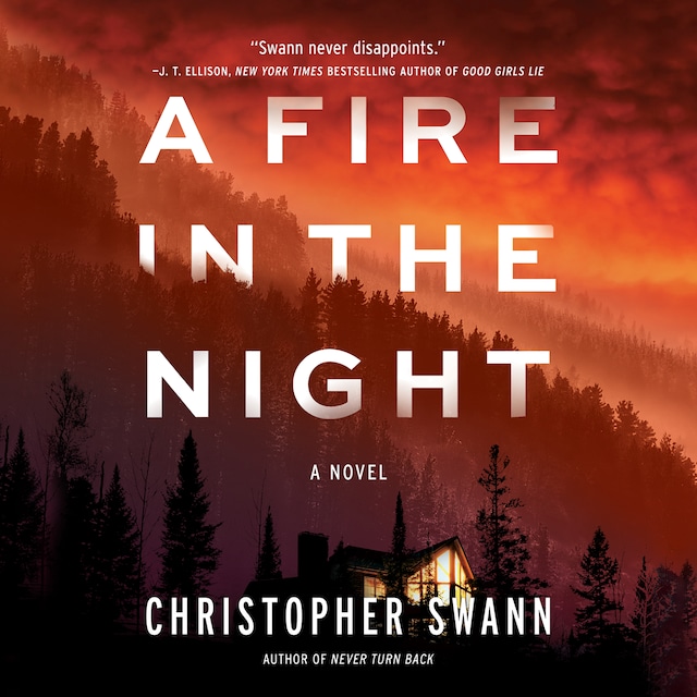 Book cover for A Fire in the Night