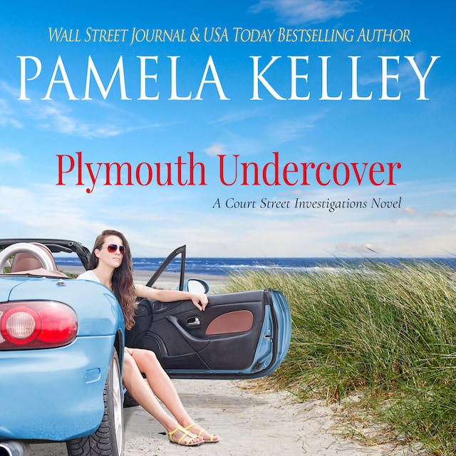 Copertina del libro per Plymouth Undercover