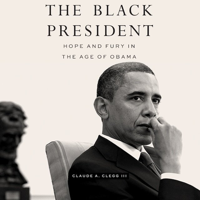 Book cover for The Black President