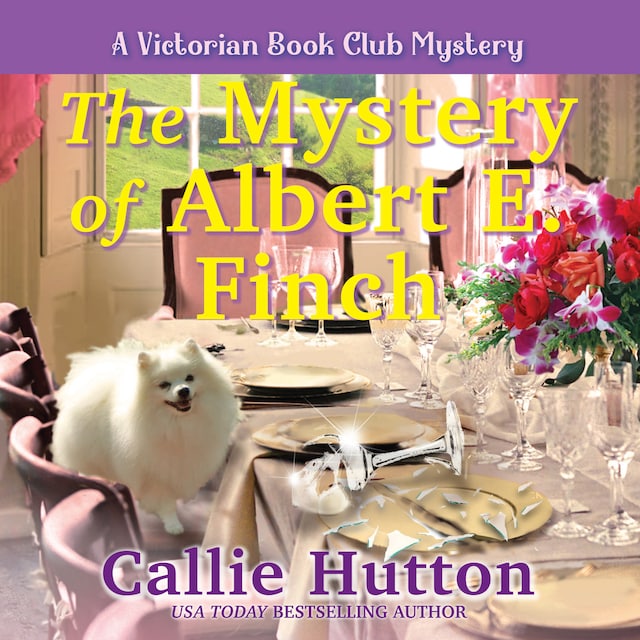 Book cover for The Mystery of Albert E. Finch